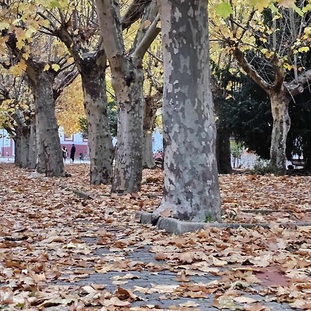 Apartamento Calamina Riópar Kültér fotó